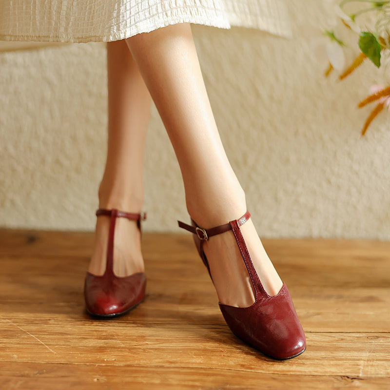 Pointy Toe Block Heels Leather T-Strap Mary Jane Shoes