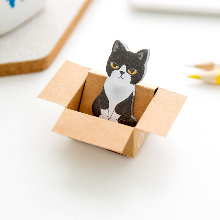 Cute Cat In A Box Sticky Notes